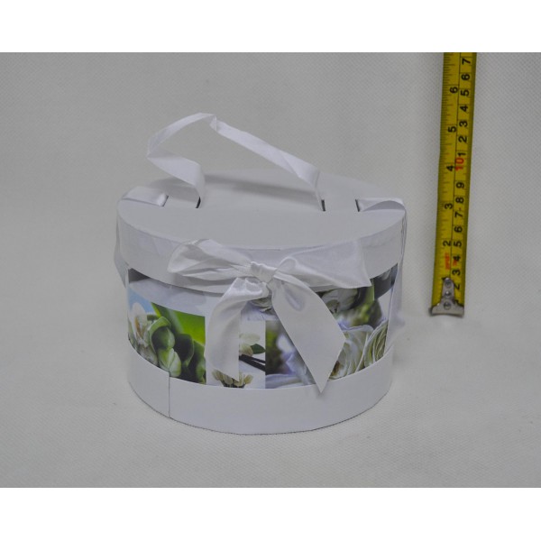 Cutie SD15B001
