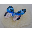 Fluture 280-2  18CM CLIP