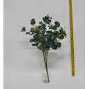 Eucalipt WH002-20B-200L