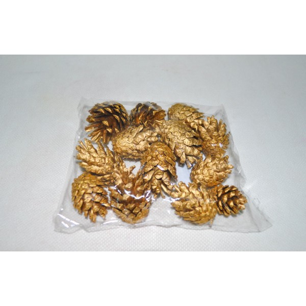 Pinus S007