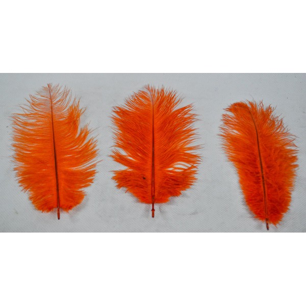 Pene 20-25cm.24278147
