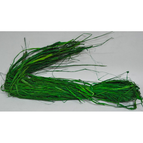 Рафия 8 DKG
