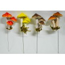Ciuperci GZ0117-2,5,6,7