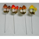 Ciuperci GZ0027-1,3,5,9A