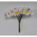 Flori KWW039