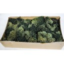 Mușchi dec.BOX 500g