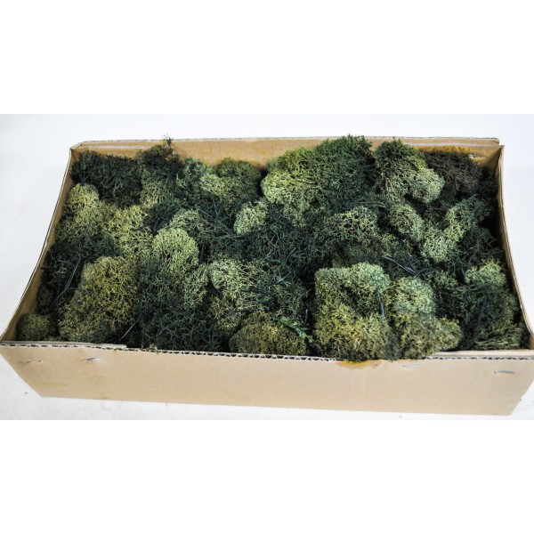 Mușchi dec.BOX 500g