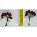 Legume JQA4-295 S/12