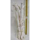 Веточки 40-60cm S/10