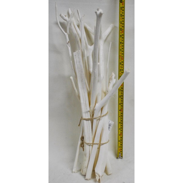 Веточки 40-60cm S/10