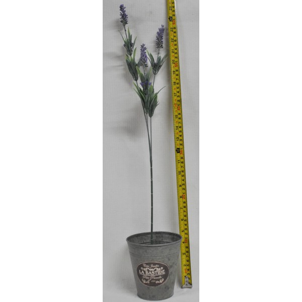 Buchet GAP151