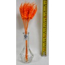 Cereale XY05-2047 S/12