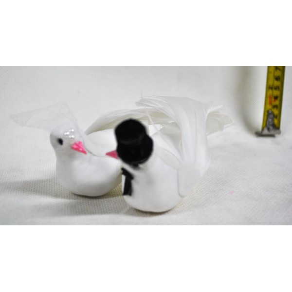 Hulubi pereche LY050377