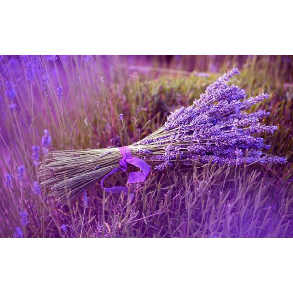 Buchet Lavandă